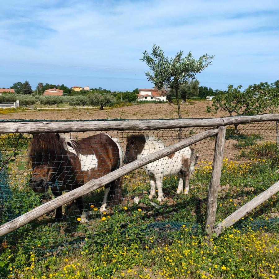 Agriturismo Agri Armonia San Lucido Bagian luar foto