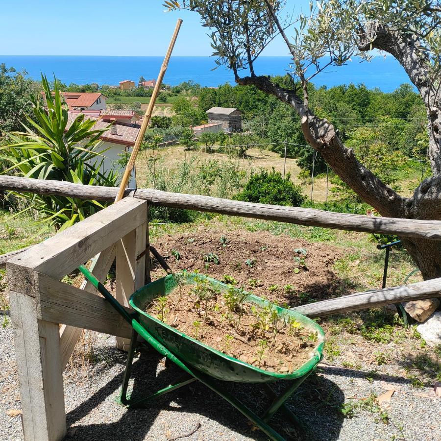 Agriturismo Agri Armonia San Lucido Bagian luar foto