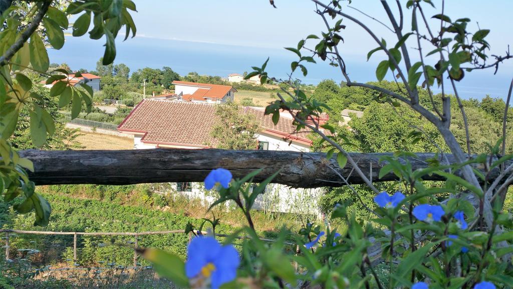 Agriturismo Agri Armonia San Lucido Bagian luar foto