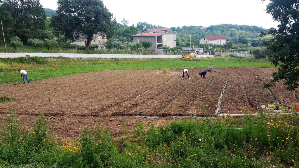 Agriturismo Agri Armonia San Lucido Bagian luar foto